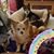 Kirsty Edwards's profile image