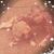 Scott Clopton's profile image