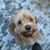 Cheryl Buschmann's profile image