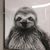 Steve Martineau's profile image