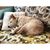 Lisa Guisinger's profile image