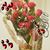 Nora Beltran's profile image