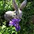 Nancy Parker's profile image
