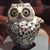 Kathie Schilke Jacoby's profile image