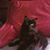 Sarah Neher's profile image