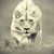 Lisa Harper Lerner's profile image