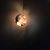 Claire J Tully's profile image