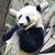Sue Zarger Lawson's profile image