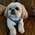 Diane Wells's profile image