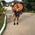Alasia Rosario's profile image