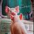Michelle Brophy Bruce's profile image