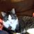 Shannon Mayfield-Holly's profile image