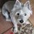 Debra Bruening's profile image
