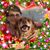 Sherry Sanford's profile image