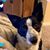 Karyn Brenkacs's profile image