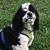 Patti Jo Howard's profile image