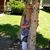 Mary Eckhout's profile image