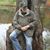 Paul J. Keenon's profile image
