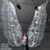Elizabeth Kirsch's profile image