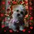 Dandi Gentry's profile image