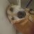 Jaiden Yancey's profile image