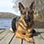 Kim Clagg's profile image