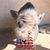 Victoria Sarabia's profile image
