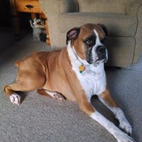 Pat Schultz's profile image