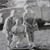 Carol Rison's profile image