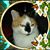 Jill Born's profile image