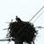 Jackie Barnes's profile image
