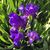 Holley Martin Sheppard's profile image