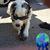 Patrick Brenton's profile image