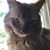 Eric Dumoulin's profile image