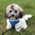 Mike Iselin's profile image