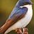 Vicki Turton Carter's profile image