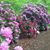 Margaret Pate Anderson's profile image