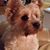 Pamela Miller's profile image