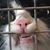 Jeri Weaver's profile image