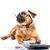 Kimberly Ann Slaughter's profile image