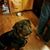 Robert Belanger's profile image