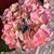 Connie Clark's profile image