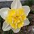 Lori Lavallee Wilhide's profile image