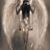 Odin Brester's profile image