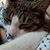 Ashe Nicole Michaelson's profile image