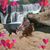 Eve Haynie's profile image