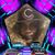 Antoine BigBobby Shell Sr.'s profile image