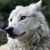 Angela J. Leonard's profile image