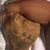 George Maldonado's profile image