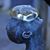 Kari Mullen McLaughlin's profile image